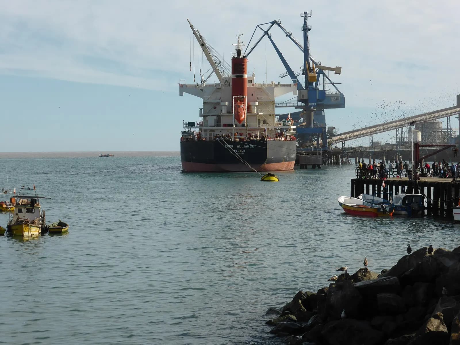 Buque de carga atracado bajo las grúas del Puerto de San Antonio